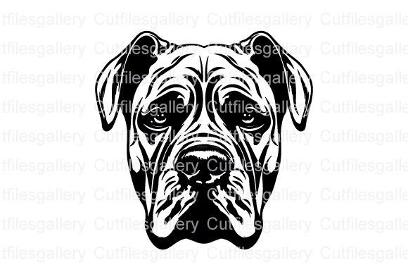 Cane Corso Dog SVG: A Designer's Review for Real Embroidery Projects
